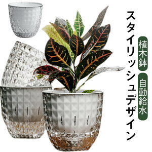  v^[ X^CbVfUC  ʋ|bg NA A vX`bN t[  ʋCt Aؔ