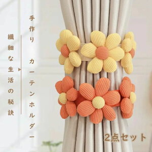   tȒP  lC IV ANZT[ 킢 J[e [v R Vv J[eߏ