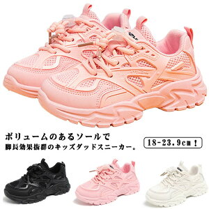 X  Xj[J[ ^C r  jOV[Y ΂Ȃ [Jbg ̎q w ʊwC _bhXj[J[