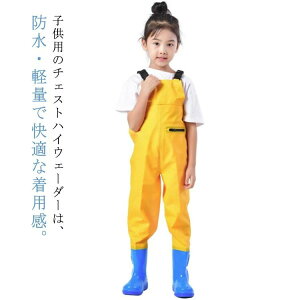 ϖ j̎q Vїp KȒSn vCEFA EF[_[ tC h `FXgnCEF[_[ ̎q EF[_[ 