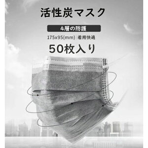 防塵?異 花粉症対策 ふつうサイズ 高性能 耳掛け式 グレー 消臭?防臭対策 不織布 使い捨て マスク用取り替え 4層構造 フィルター