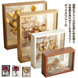 a Mtg G   ̓ rO ǂłu  A4TCY CeA t[̂ ؐt[ `