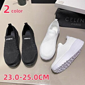 y  C ₷ JWAV[Y bV Xj[J[ [Jbg fB[X d Xb| Xj[J[