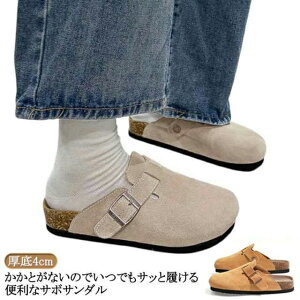 _ fB[X y rWlX ₷ C ؂ T{ ƂȂ Xbp XG[h 4cm  y T{T_