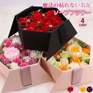  zCgf[ v[g ͂Ȃ t[  Ό ̓ w {bNXt[ a Mtg LO LO