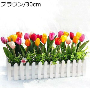 { t[AWg ϗtA fR[V  `[bv G} A[gt sv ͂Ȃ 