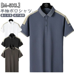 傫TC StEFA ݕt z  |Vc |Vc 傫TCY StVc   Y