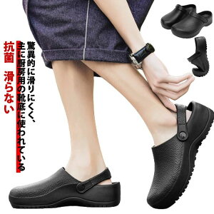 R TCY 傫TCY RbNV[Y RbNV[Y ~[C T{V[Y T_ a@̐搶 ȂC ~[C