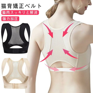 xg ͉ Lwxg pT|[^[  pP   Ci[ w؋xg  Lw eɂȂ 