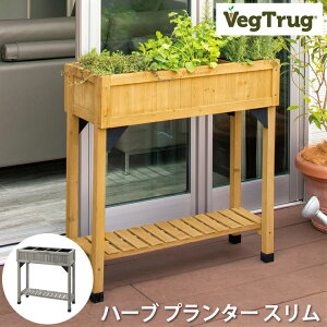 �x�W�g���O �n�[�u �v�����^�[ �X���� �E�b�h VegTrug Herb Planter Slim Wood �K�[�f�j���O �ƒ�؉� ���|�p�i �n�[�u�͔| �v�����^�[ �ؐ��t���[�� �X�����f�U�C�� �X�^�C���b�V�� ���_���f�U�C�� 