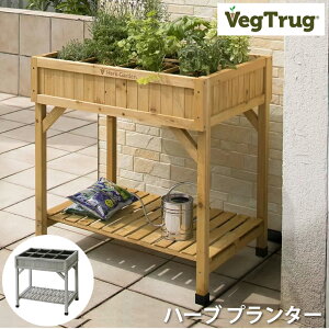 xWgO n[u v^[ VegTrug Herb Planter K[fjO ƒ؉ |pi n[u͔| v^[ ؐt[ X^CbV _fUC OCEbh Kтɂ ϋv 