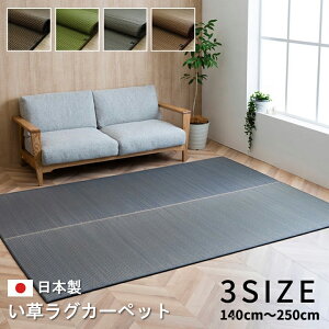 Y   O J[ybg 3TCY 140cm ` 250cm 4J[ { Vv ӂ {[O a rO ȒP  RۖhL  L C ɂ _[Nu