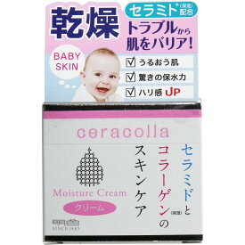 【送料無料】【2個セット】セラコラ 保湿クリーム(50g) スキンケア クリーム 高保湿 セラミド コラーゲン 乾燥肌 普通肌 ナノコラーゲン 無香料 無着色 アルコールフリー 弱酸性 基礎化粧品 コスメ バリア機能アップ