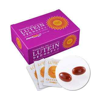 ܂̃eC yz 2JvZ×30 Tvg NHi