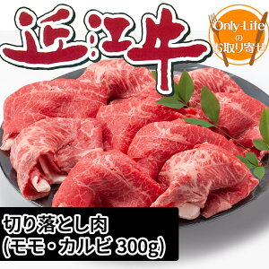 F ߍ]؂藎Ƃ   uh Ƃ낯  Mtg j j 蕨  v[g hV̓ A