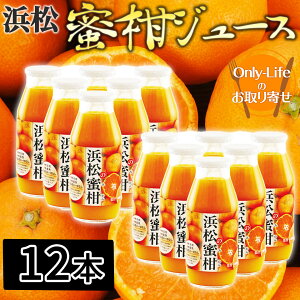 []l̖ YAʏ`100W[X 12{ F i t[c Mtg v[g j j Ε 蕨 ̓ ̓ hV̓Ԃ
