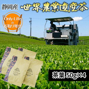 E_ƈY 50gx4 ÉY  [ ㎿ i Mtg v[g j j Ε 蕨 ̓ ̓ hV̓  Ԃ ei