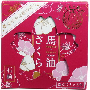y5ZbgznΌ 100g iAălbgtj ylC̍sNF̌Ō`΂z v[g 蕨 邨 GLX n C  z