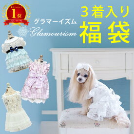 【楽天1位】グラマーイズム Glamourism ペット服 福袋 3着入り Mサイズ 犬 服 ドッグウェア クリアランス 在庫処分 ランダム セット 小型犬 洋服 可愛い おしゃれ 春夏 秋冬 混在 シーズー シュナウザー 数量限定 アウトレット 送料無料
