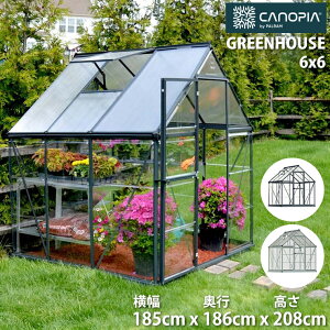CANOPIA by PALRAM 6x6  O[nEX Lbg nCubh 185cm 186cm 208cm pl O[ Vo[  K[fjO UVی |J[{l[g DIY O