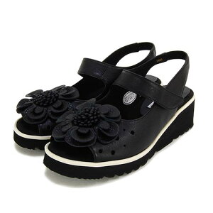 FIZZ REEN@tBY[@v@t[`[t@@T_