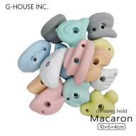 【ポイント5倍】【送料無料 ※北海道・沖縄・離島除く 】GMS03472 マカロンカラー ボルダリングホールド …