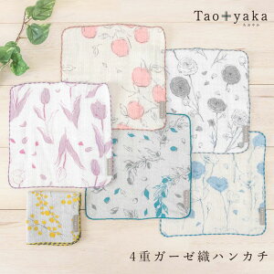 Taoyaka 4dK[[nJ` { 100% | Jȕ炵  v[g  Y { z xr[ Ԃ z Rbg z ӂӂ 炩 uh K[[ nJ` l 