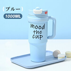 y35N[|OFFzGIANXI(WV) ^u[ 1000ml Xg[t 킢 Wt ۉۗ ^  ڂȂ ^fM ⋋ 􂢂₷ 