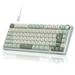 RK ROYAL KLUDGE R75 ���J�j�J���L�[�{�[�h �L���b���{��z��b�{�����[���m�u���ځb�Q�[�~���O�L�[�{�[�h 75%�J�X�^���b�K�X�P�b�g�}�E���g�\���ERGB�o�b�N���C�g�E�\�t�g�E�F�A�Ή��bCherry Profi