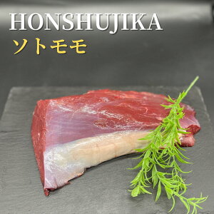 ylLzeF߂iz {B \g O 400g SVR Y WrG  VJ r^~B2 B6 Lx h{