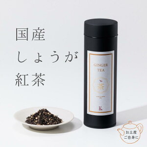 傤g _ 엿 I[KjbN L@g F{ V̐ Mtg v[g  j a p j Ƒ [t