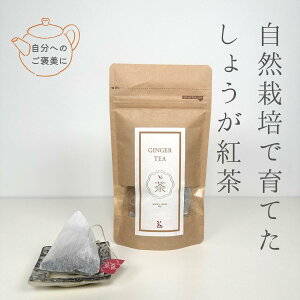 傤g ag _ 엿 I[KjbN L@g F{ V̐ Mtg v[g  j a Ƒ eB[obN