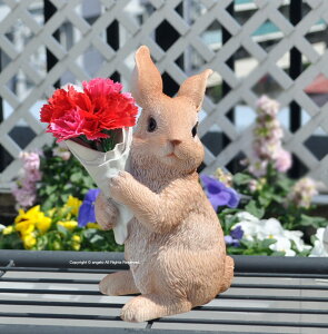 y ̃v[gzK[fjOG݁@rbgu rbg|bg  K[fjO K[f GgX t[v^[   l