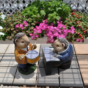 y yzX̉y nlY~2Zbg  IK ͂˂ 킢 A\[g u K[fjO K[f G I[ig  CeAG  