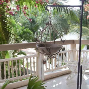 NEWynLOEo[htB[_[zu^ɂȂ o[hoX  30cm ~a22.5cm K[fjO K[f G  I[ig  u RxgK[f y  l