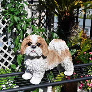  V[Y[yK[fjOG݁zhbOyuz ⌺ K[fjO K[f G I[ig  u MtgΉ 킢   l킢G