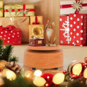 hbO IS[yČz[}C@yNX}Xv[gz u DOG I[ig  CeAu MtgΉ v[g  l킢G