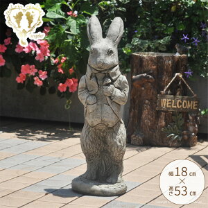 yzXg[ u yrbgzCObVK[f H53cm 8kgyK[fjOG݁zu [bp p C|[gK[fjO K[f G I[ig 