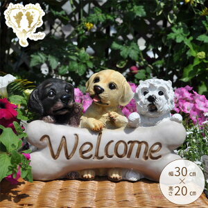 yyVLO1ʊlzyDOG{[EGJz K[fjOG u yzhbO   K[fjO K[f G I[ig  u MtgΉ  