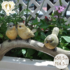 yN[|12OFFzy4H̘bBzK[fjOG I[ig AeB[N 50.5cm   u MtgΉ yyz