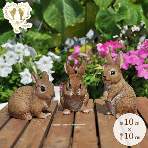 ySi|Cg10{zyzy~jth rbg 3ZbgzK[fjOG CeAG u ETM 3g K[fjO K[f u I[ig IuWF  