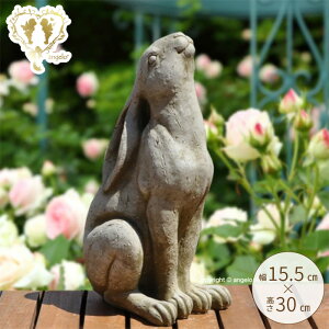 yrbgBzypzXg[K[fjOG݁yuz[bp C|[g CObVK[fK[fjO K[f G I[ig  u 