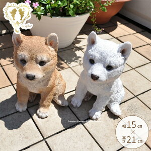  K[fjOG A\[g V `yĔƒ̃yA2Zbgzu Č  Ό K[fjO K[f G I[igy Vo ăCk