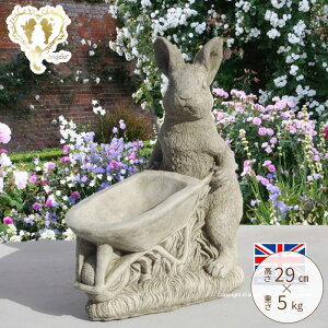 y[݌ɂzyVLO1ʊl p yrbg J[SzXg[ yK[fjOG݁z u CObVK[f H29cm 5kg yz[bp C|[g I