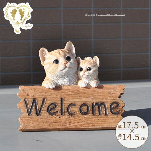 ylR EGJzyK[fjOG݁zL ֒ Lbg K[fjO K[f G I[ig  CeAuyMtgΉz˂G݁yyz  l