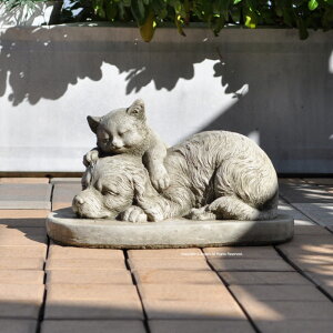 yyVLO1ʊlzp Xg[yqLƎqzǂQ K[fjOG L  uCObVK[f 33cm 11kg [bp K[f G I[ig  u