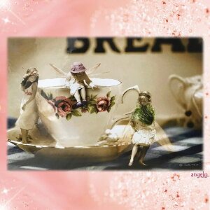 AWFCharlotte BirdO[eBOJ[h1i@zȂ eB[^CVg dEKN P@@@MtgΉ@y  l킢G