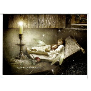 Charlotte Bird@V[bg o[hO[eBOJ[h1@zȂ@ủƂ̓`@Vg dEKN P@@@MtgΉ@y  l킢G