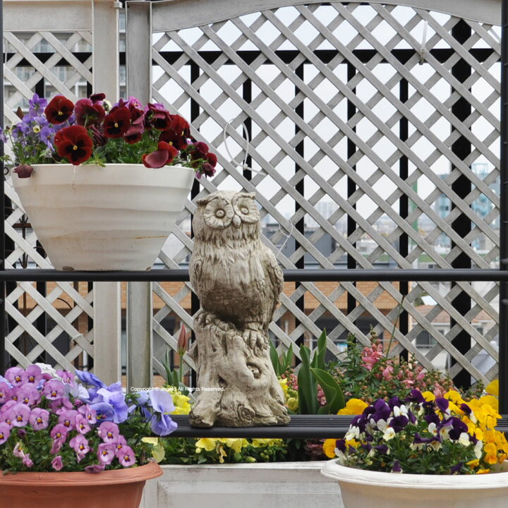 楽天市場】送料無料 ストーン製 England【フクロウ】【ガーデニング  