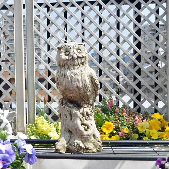 楽天市場】送料無料 ストーン製 England【フクロウ】【ガーデニング  